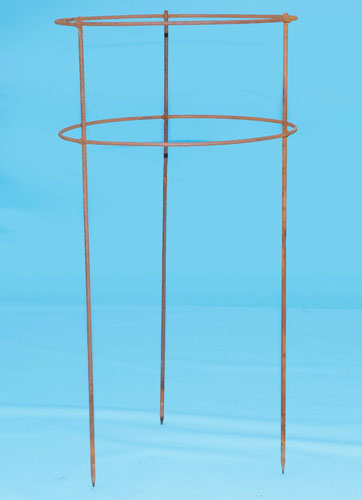 Rose supports - full circle